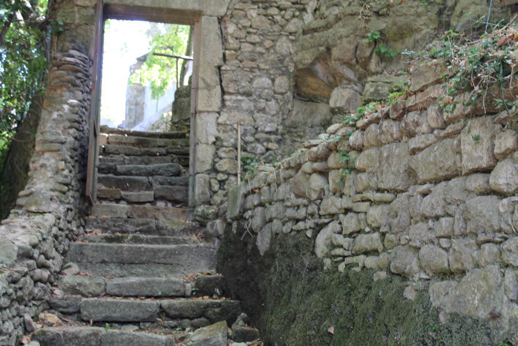 L'Ecrin D'Osely Bed and Breakfast Lodève Esterno foto